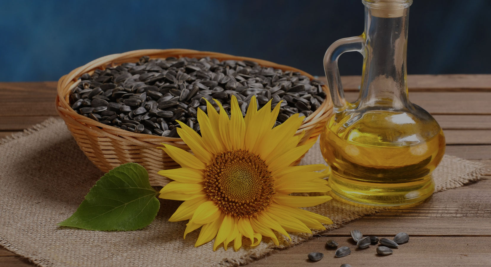 Sunflower Oil